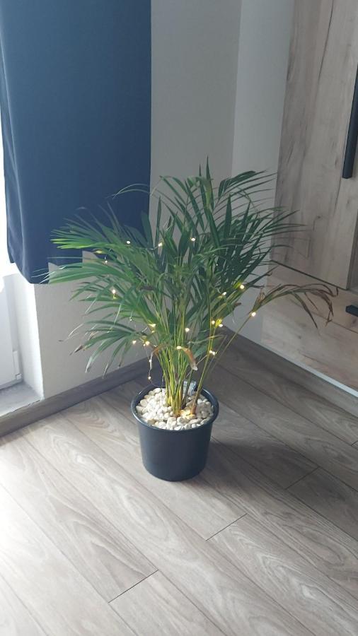 Apartament Antonias Făgăraş 外观 照片