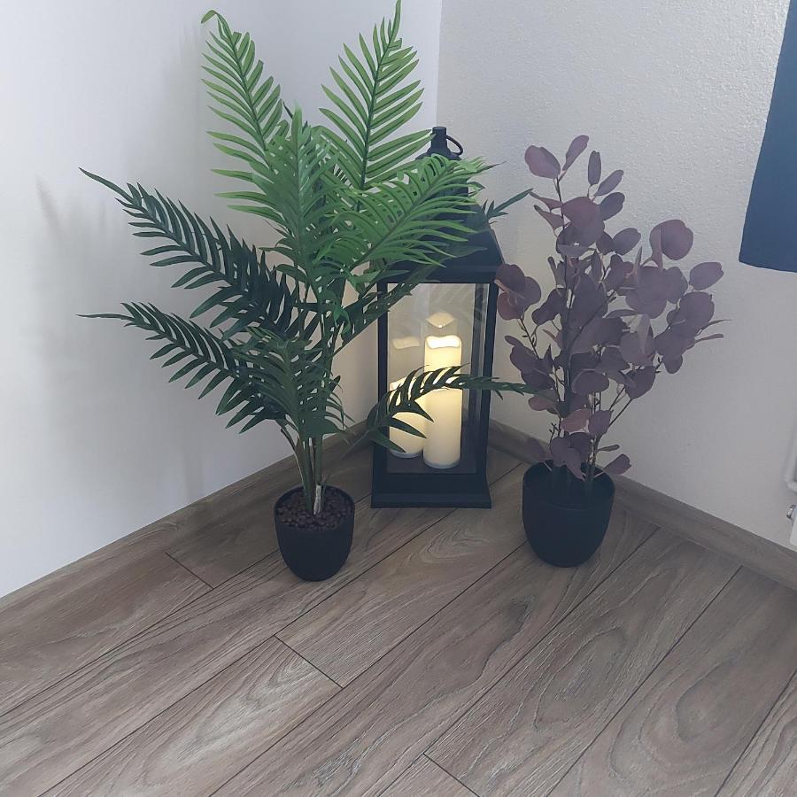Apartament Antonias Făgăraş 外观 照片